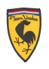 Team Voodoo patch, embroidered